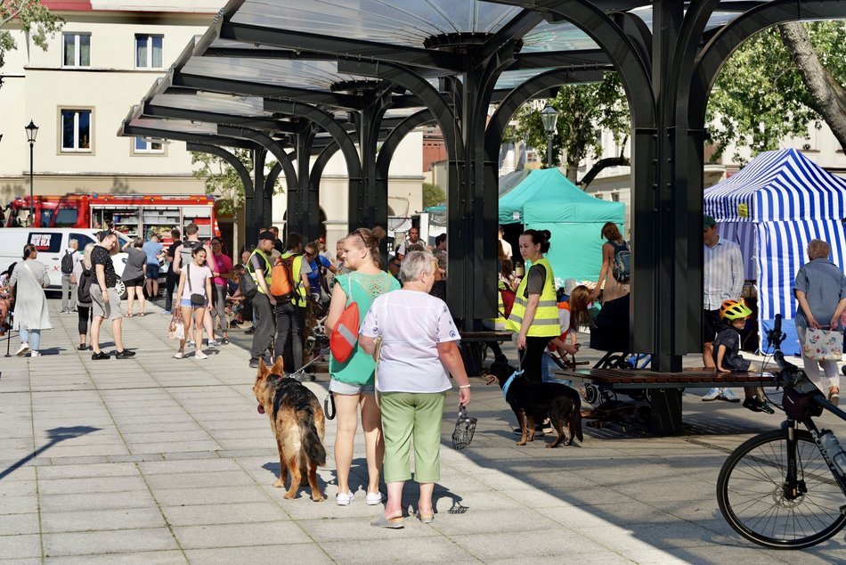 Łódź. Światowy Dzień Zwierząt na Starym Rynku w Łodzi. Psy, konie, a nawet... jerze!