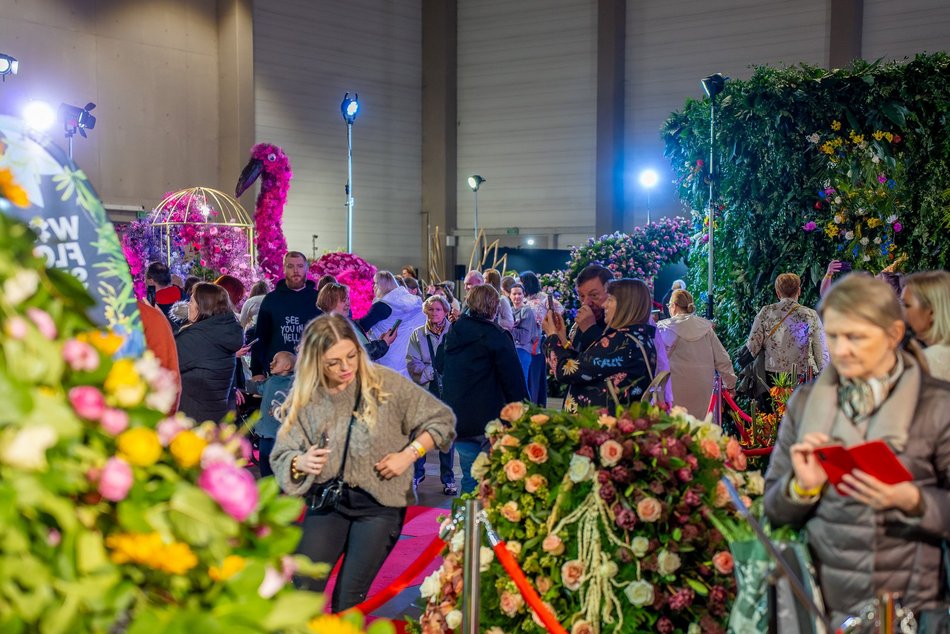 Łódź. World Flower Show w hali Expo Łódź. Przyjdź i zobacz orchidee, drzewa bonsai i sukulenty