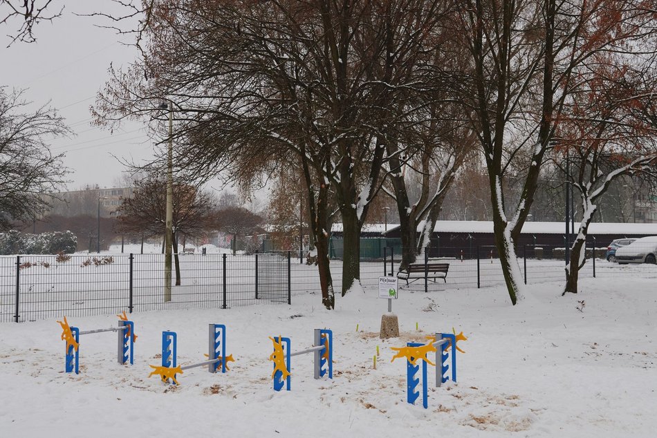 psi park dąbrowa zarzew, łódź