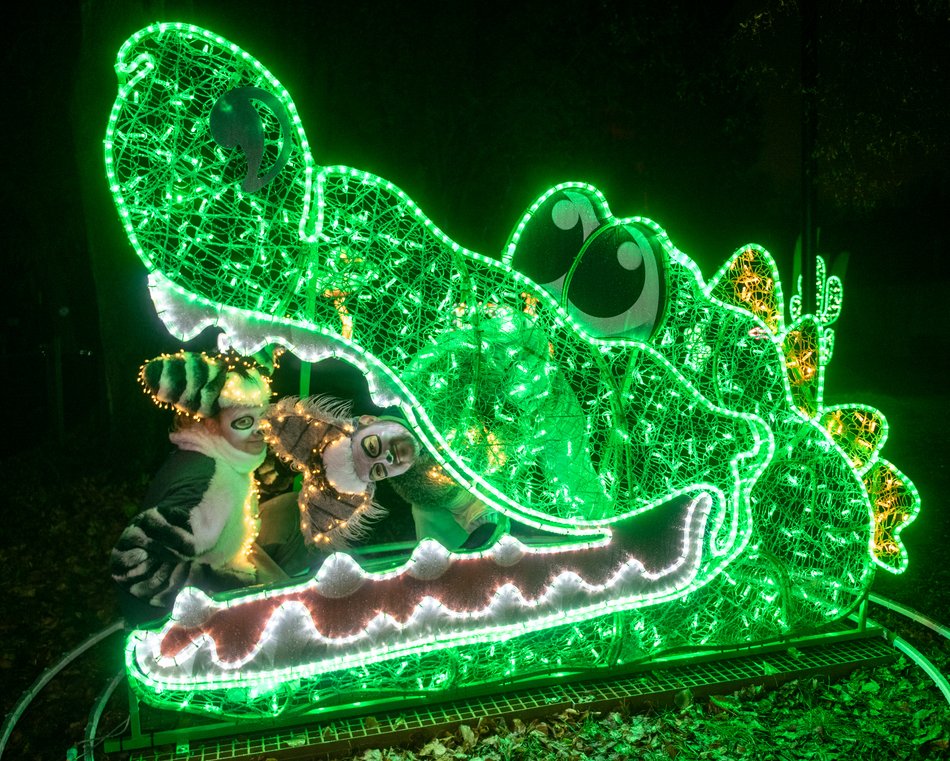 Park Miliona Świateł w Orientarium Zoo Łódź przyciąga tłumy!