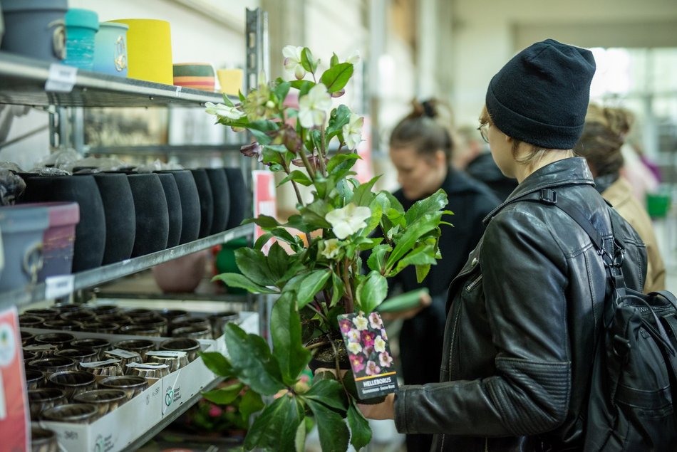 Kwiatowa Gala w Łodzi! Kochasz rośliny? Nie może Cię tam zabraknąć!