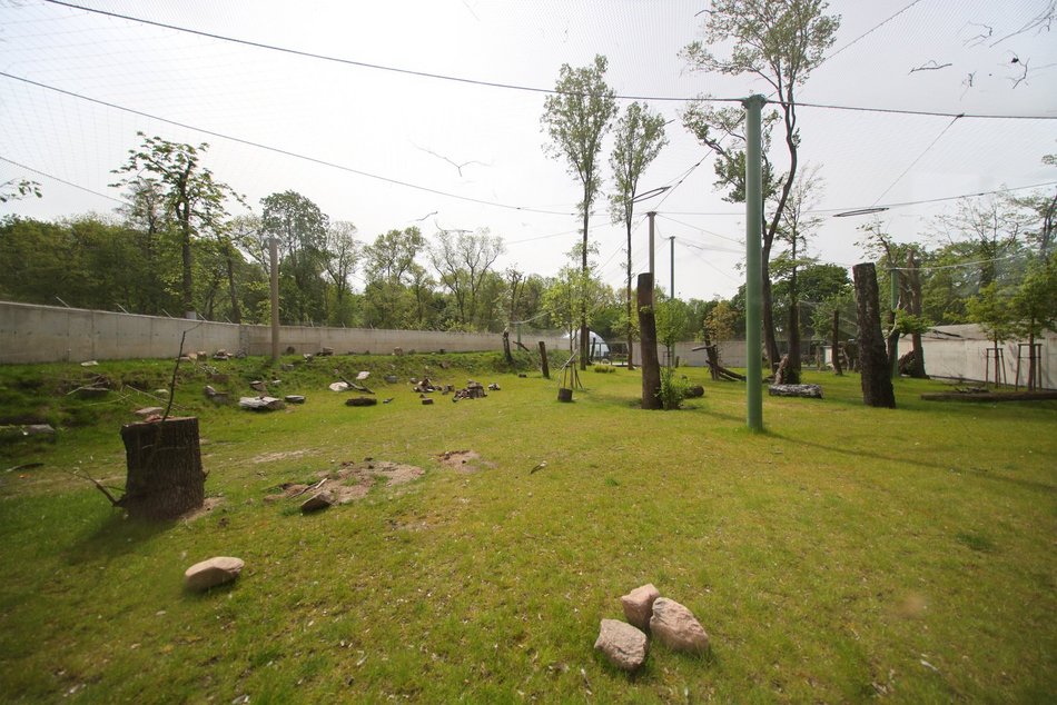Sępy w Orientarium Zoo Łódź