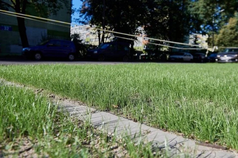 TOP 13 projektu Budżetu Obywatelskiego Łódź