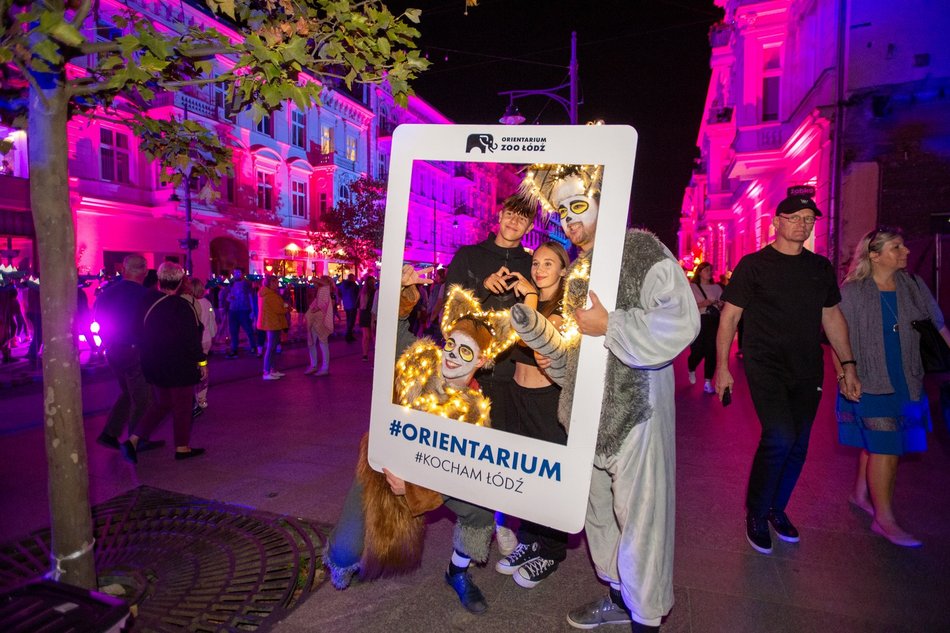 Piotrkowska podczas Light Move Festival 2023