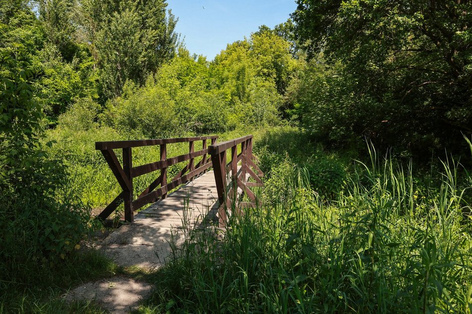 Nazwij park nad rzeką Ner w Łodzi