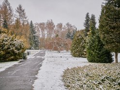 Łódź. Ogród Botaniczny w Łodzi