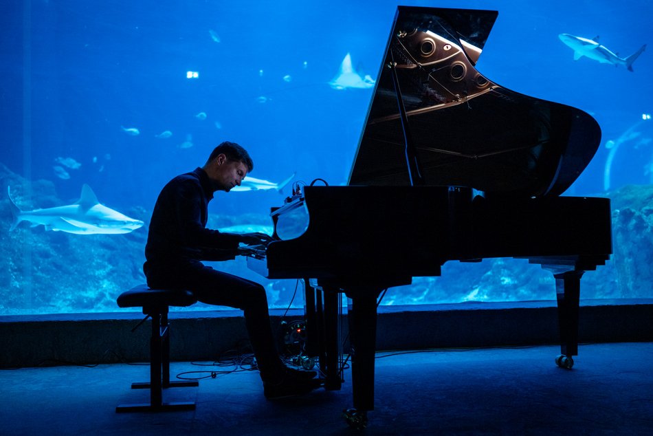 Klimatyczny koncert w tunelu Orientarium Zoo Łódź. Maciej Tubis zaczaruje publiczność