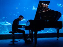 Klimatyczny koncert w tunelu Orientarium Zoo Łódź. Maciej Tubis zaczaruje publiczność