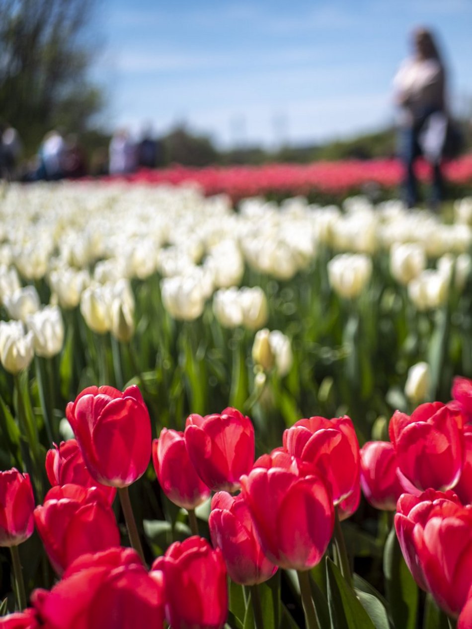 Ogród Botaniczny w Łodzi. Łodzianie na wyjątkowych zdjęciach z okazji 600. Urodzin! [ZDJĘCIA]