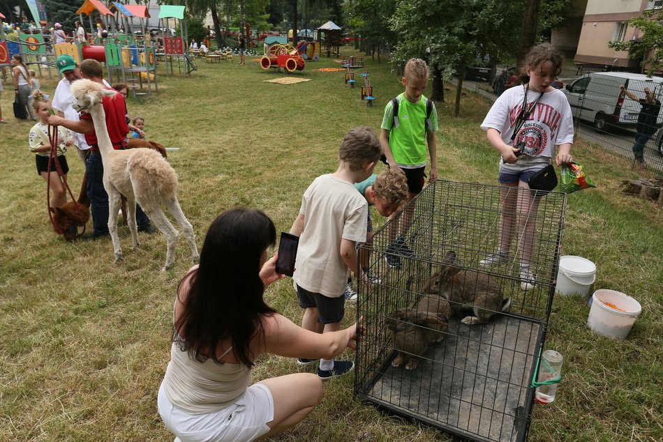 Nowy ogródek dydaktyczny w przedszkolu w Łodzi