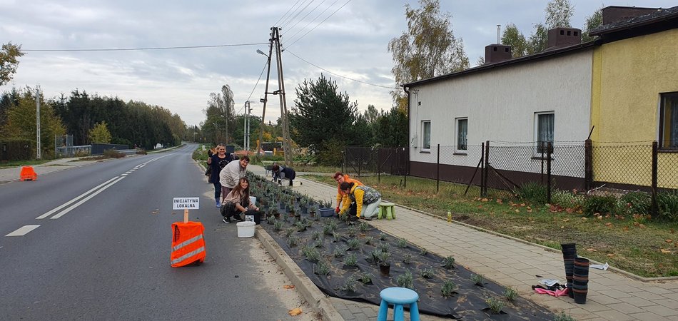 Zielone i kwitnące dywany na ul. Prądzyńskiego