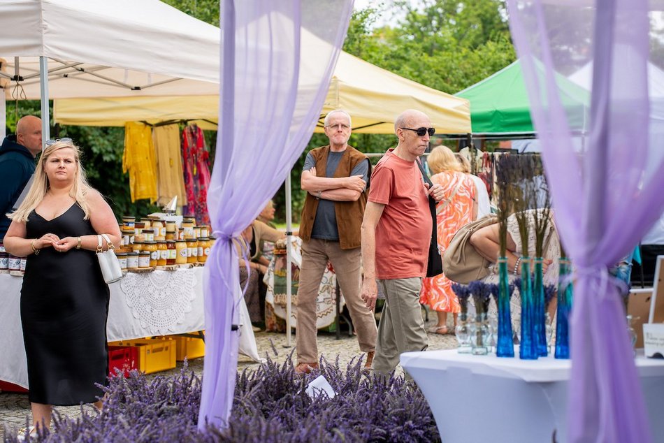 Łódź. Lipcowy targ staroci na Księżym Młynie. Miłośnicy rzeczy z duszą nie zawiedli