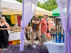 Łódź. Lipcowy targ staroci na Księżym Młynie. Miłośnicy rzeczy z duszą nie zawiedli