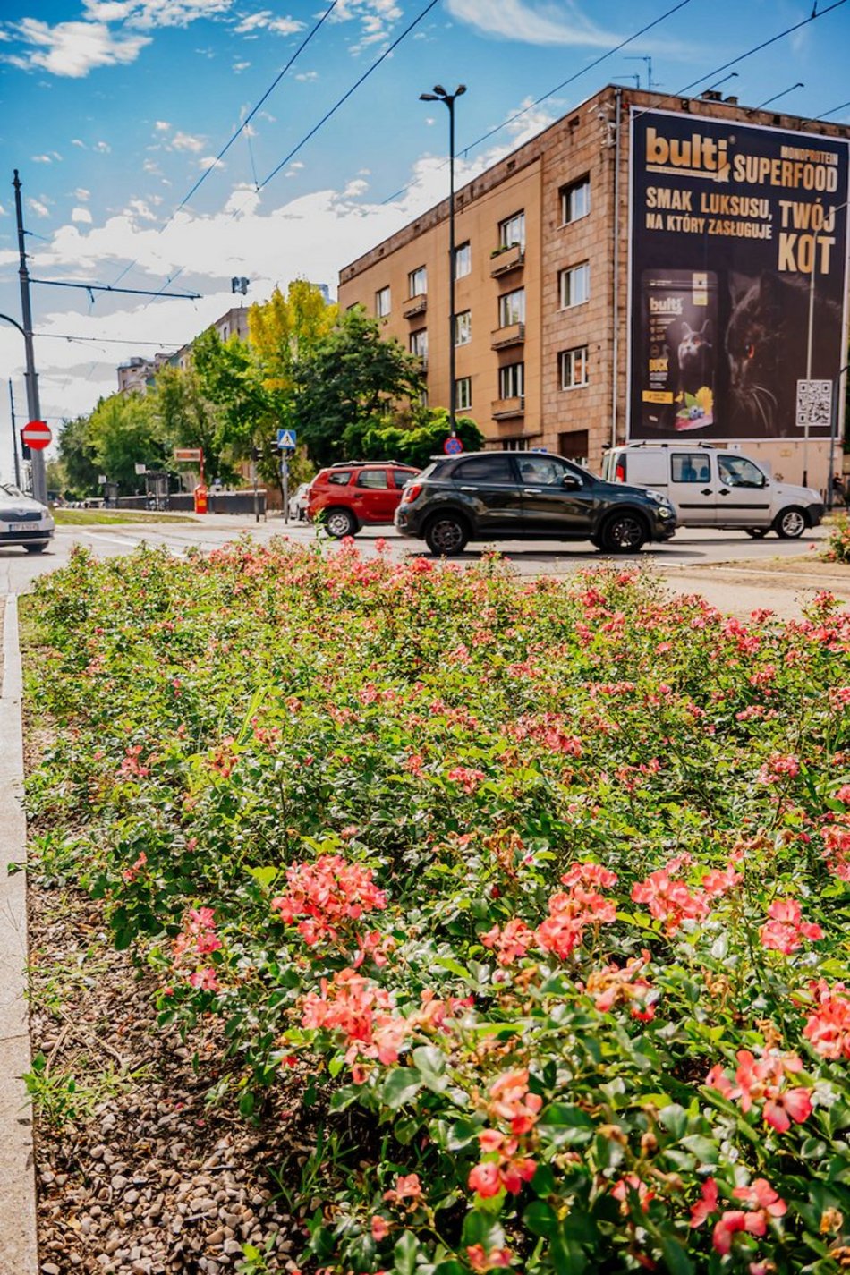 Łódź. Wrzesień w Łodzi potrafi zaskoczyć! Miasto wciąż tętni kolorami i zapachem kwiatów