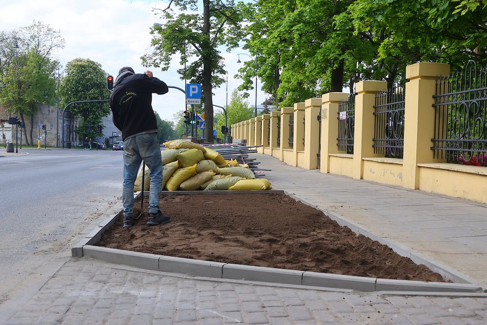 Łódź. Więcej zieleni w centrum! Zamiast betonu będą kolorowe byliny, krzewy i piękne rabaty