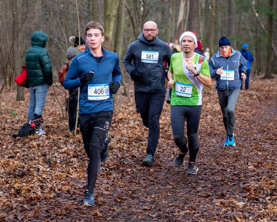 biegacze w lesie