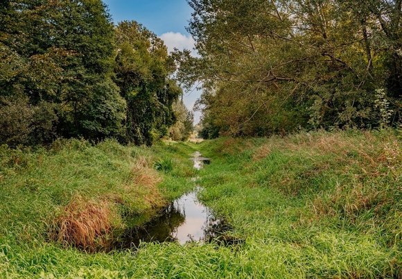 Sokołówka z planem miejscowym