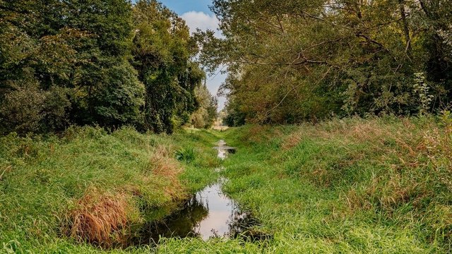 Zostawią Sokołówkę w spokoju! Ponad 200 hektarów chronione planem miejscowym