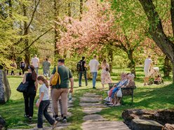 Łódź. Ogród Botaniczny w Łodzi w wiosennej odsłonie