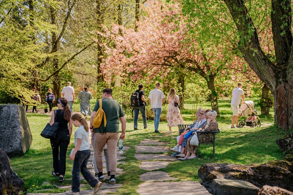 Łódź. Ogród Botaniczny w Łodzi w wiosennej odsłonie