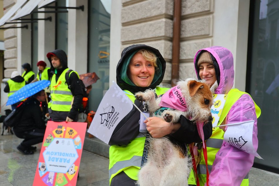 Parada kundelków w Łodzi 2025 przeszła ulicami. Skala słodyczy wysoka jak nigdy!