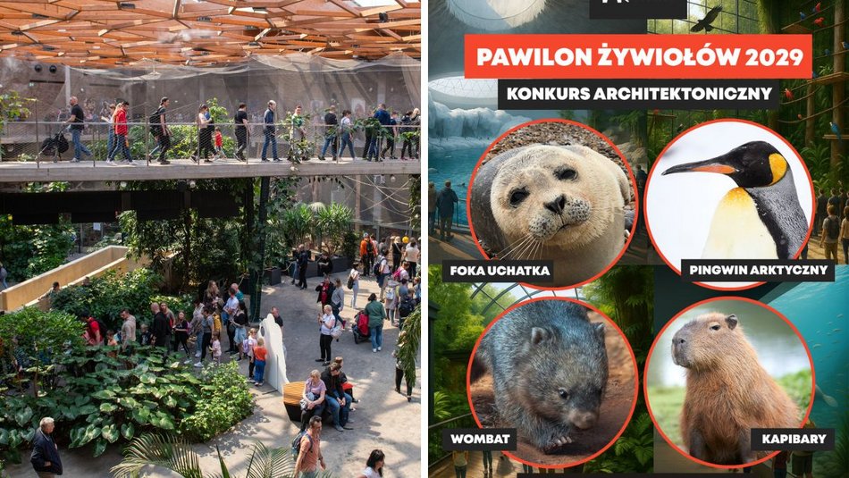 Łódź. Pawilon Żywiołów w Orientarium Zoo Łódź. To jedyna taka atrakcja w Europie!