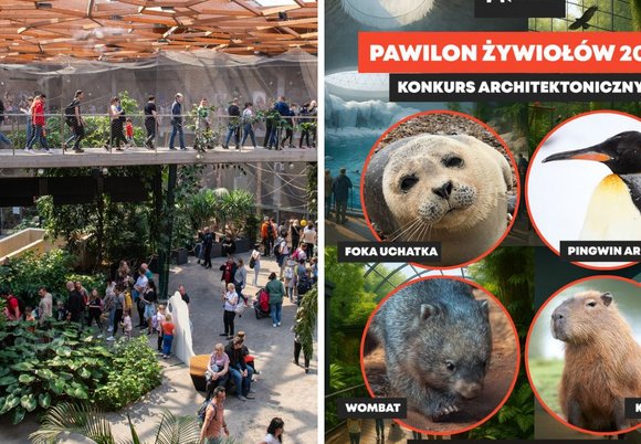 Łódź. Pawilon Żywiołów w Orientarium Zoo Łódź. To jedyna taka atrakcja w Europie!