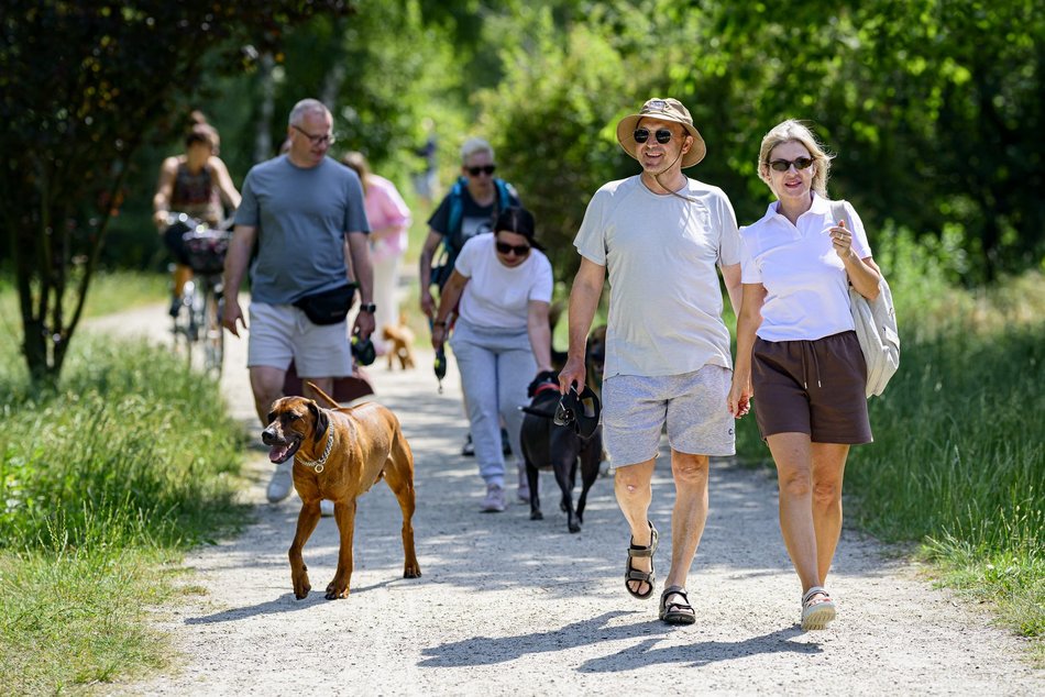 Łódź. Psiejski spacer na Uroczysku Lublinek w Łodzi. Kolejna odsłona wyjątkowej inicjatywy