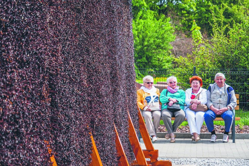 Z Łodzi do sanatorium z dnia na dzień! Wyjazd nad morze i w góry bez kolejki. Jak?