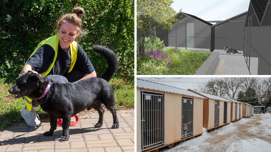 Łódź. Wielka metamorfoza schroniska w Łodzi