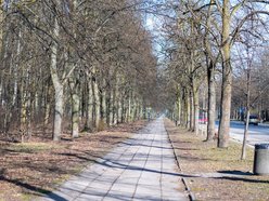 Nowe drogi rowerowe w Łodzi w 2026 roku