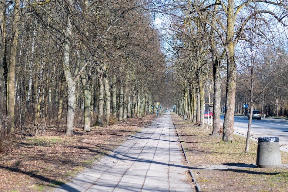 Nowe drogi rowerowe w Łodzi w 2026 roku