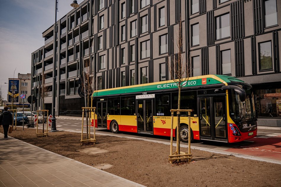 Łódź. Wiśnie kanzan u zbiegu Struga i Wólczańskiej. Okolica zyska więcej uroku