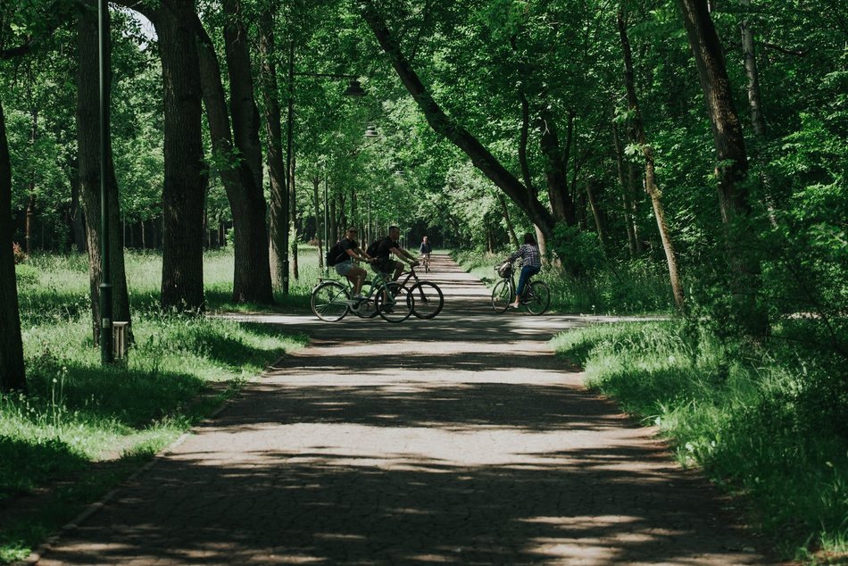 Łódź. Park na Zdrowiu