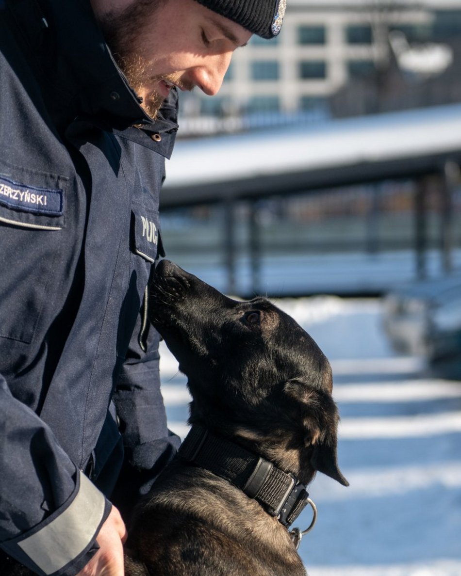 Dwa psy służbowe zasiliły szeregi Komendy Miejskiej Policji w Łodzi