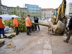 Plac Wolności coraz bardziej zielony