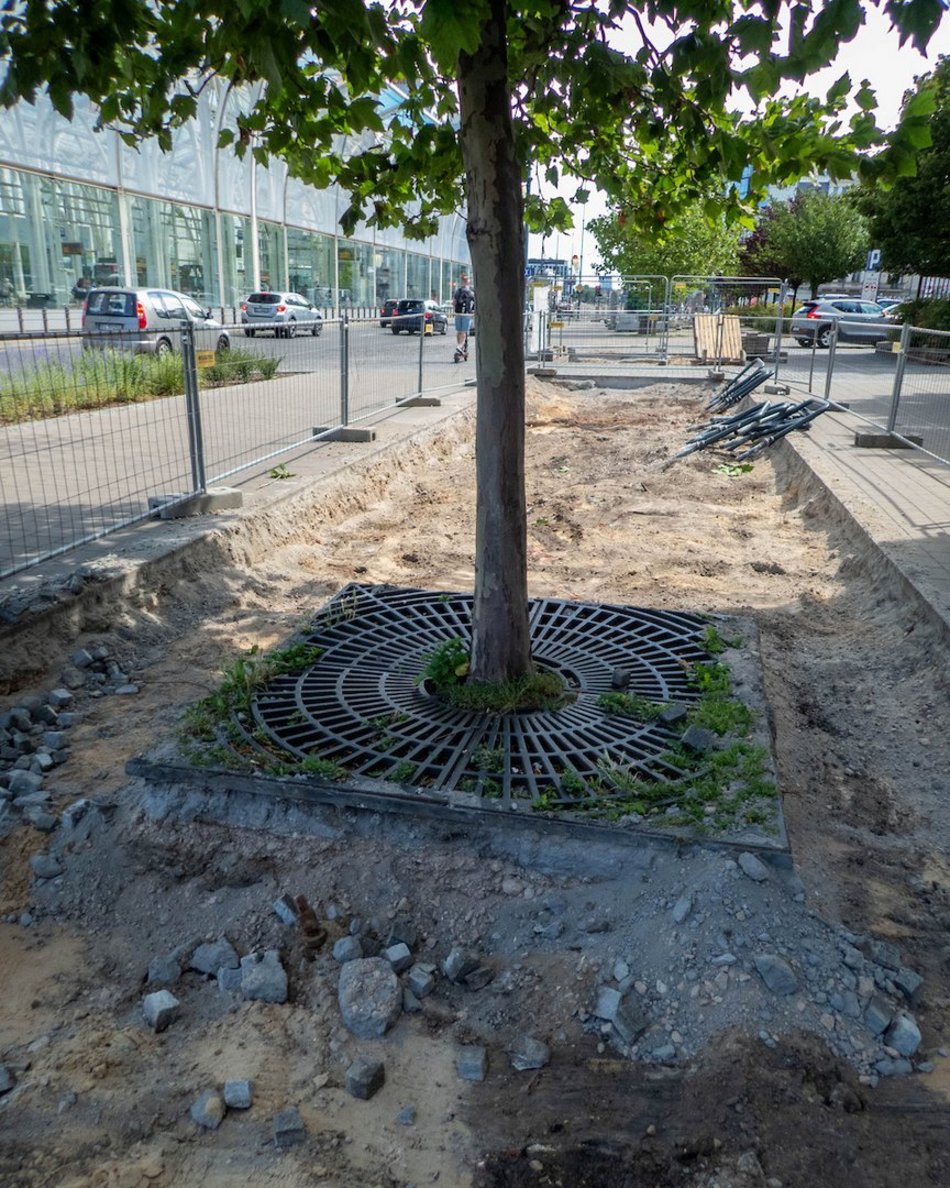 Łódź. Stajnia Jednorożców w Łodzi cała w zieleni! Zamiast betonu będą drzewa i barwne rabaty!