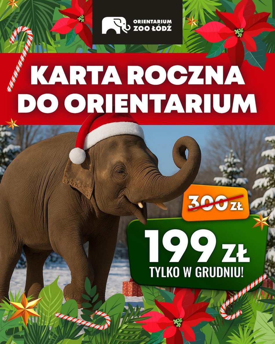 Łódź. Prezenty po łódzku. Aż 21 propozycji tworzonych przez lokalnych artystów