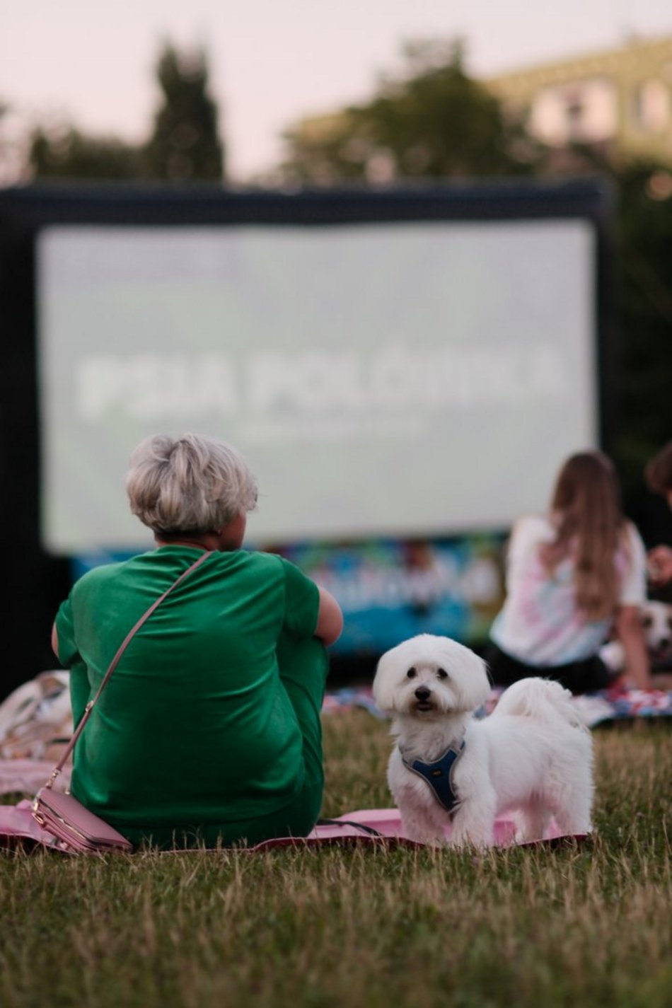 Łódź. Psia Polówka za nami! Na Olechowie pojawili się łodzianie ze swoimi czworonogami