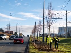 Łódź. TOP 10 inwestycji drogowych