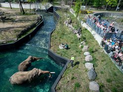Łódź. Co robić w długi weekend w Łodzi? Labirynt Festival, Street Food, sekrety drzew i więcej