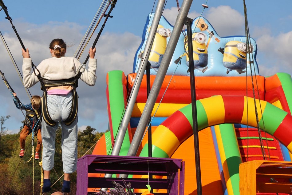 Farma Dyniowa w Pasażu Łódzkim