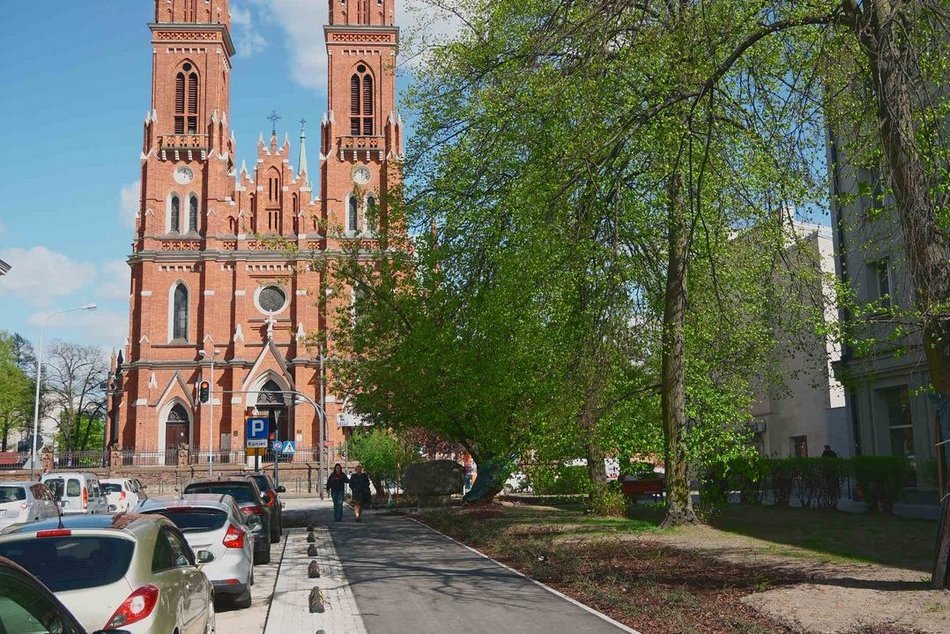 Łódź. Zielona rewolucja na Lutomierskiej w Łodzi. Posadzili ponad 20 nowych drzew!