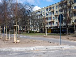Łódź. Łódź zazieleni się na wiosnę! Zasadzono więcej drzew przy Różyckiego