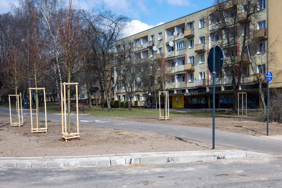 Łódź. Łódź zazieleni się na wiosnę! Zasadzono więcej drzew przy Różyckiego
