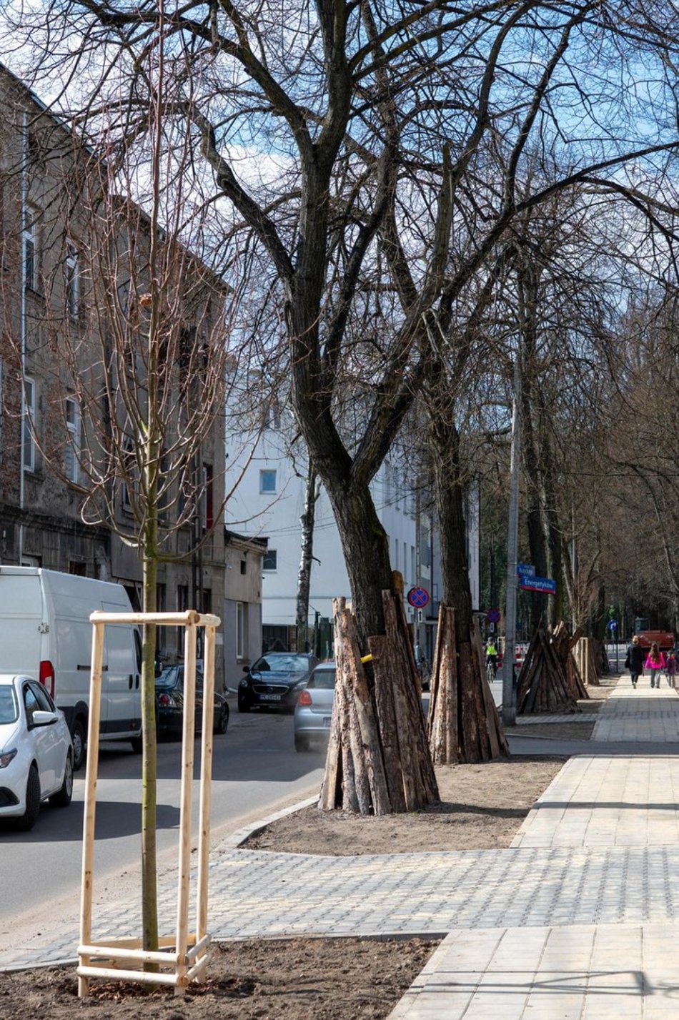 Łódź. Łódź zazieleni się na wiosnę! Zasadzono więcej drzew przy Różyckiego