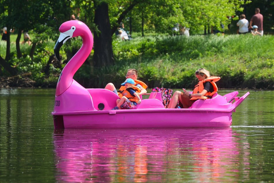 Łódź. Piknik na Młynku w Łodzi. Dmuchańce, alpaki, gigantyczne kręgle i rowery wodne