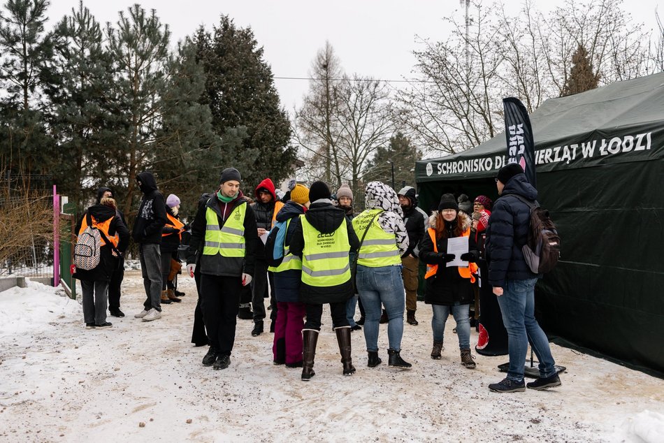 Łódź. Psy ze schroniska w Łodzi znów na spacerze! Dla tych wesołych pyszczków aż chce się chodzić!