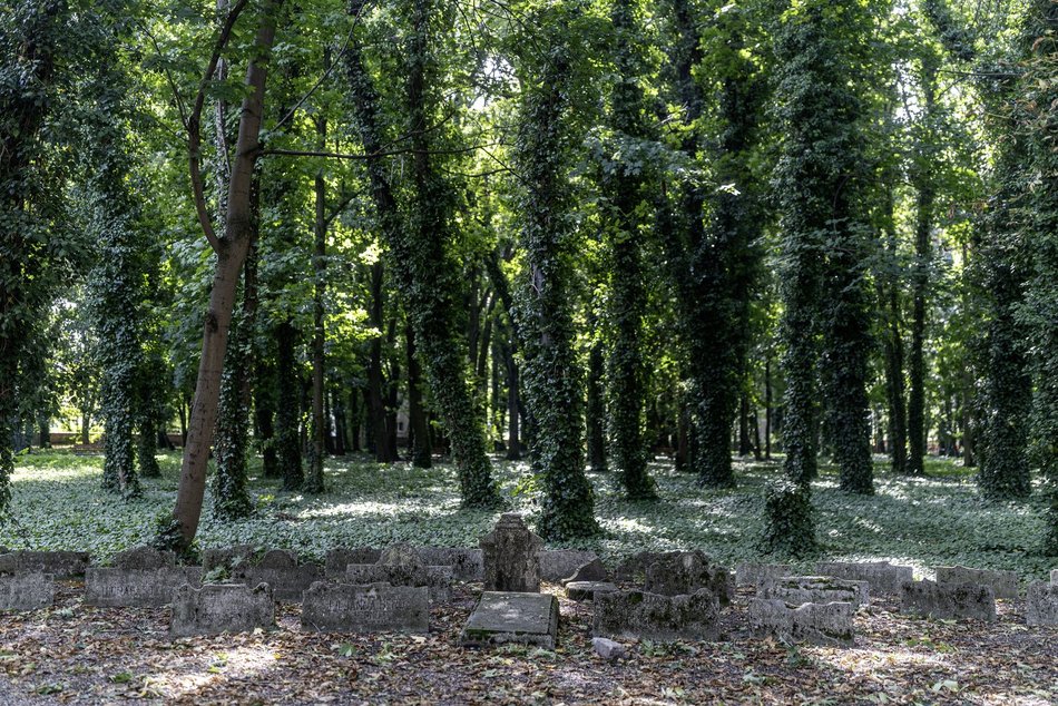 Park Rejtana w Łodzi