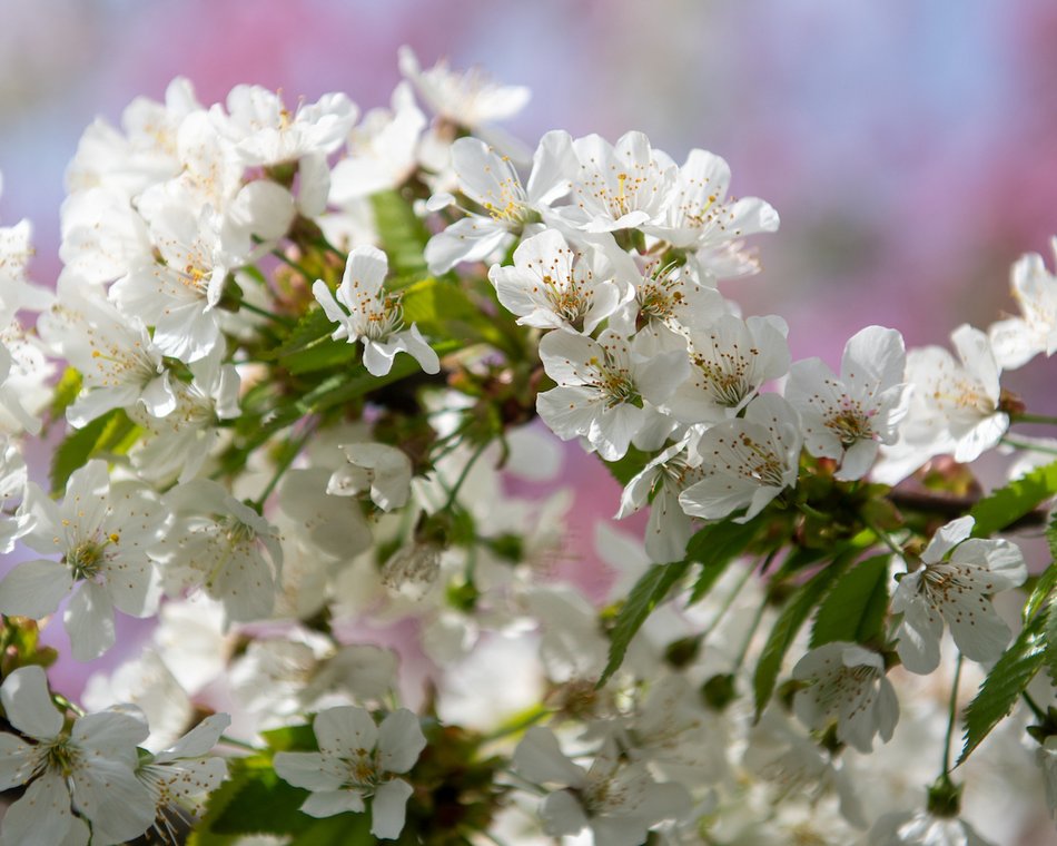 Łódź. Park Moniuszki w wiosennej odsłonie. Kolorowe kadry z centrum miasta